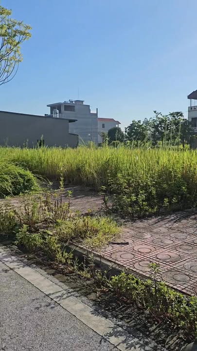 Shophouse Khu Đô Thị Visip Lương Điền Cẩm Giàng 74m² - Kinh Doanh Sầm Uất!