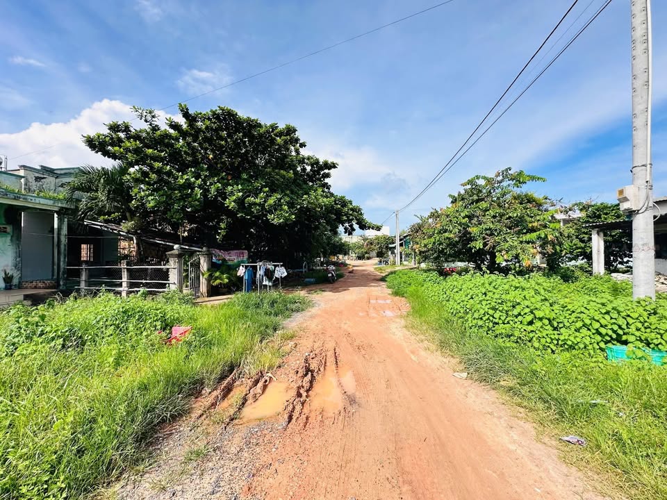 Bán đất thổ cư 300m² mặt tiền đường N6, Tân Hải, giá 2 tỷ - Cơ hội đầu tư sinh lời!