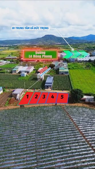 Đất 2 mặt tiền Tân Hội, Đức Trọng 114m² giá 895 triệu - Cơ hội đầu tư vàng!