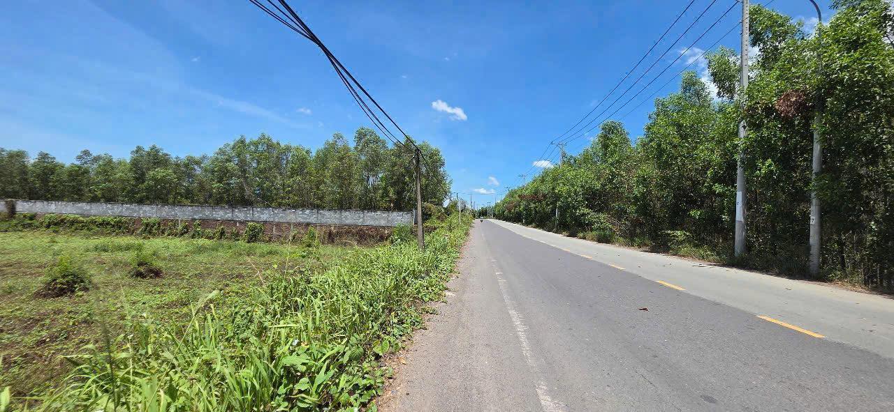 Đất thổ cư Vĩnh Cửu 40.000m² giá 2.4 tỷ - Mặt tiền đường lớn, cơ hội đầu tư hấp dẫn!