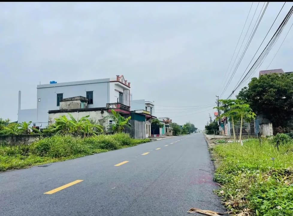 Đất nền Đông Hoàng, Tiền Hải, Thái Bình 100m² giá 1.4 tỷ - Cơ hội đầu tư sinh lời!