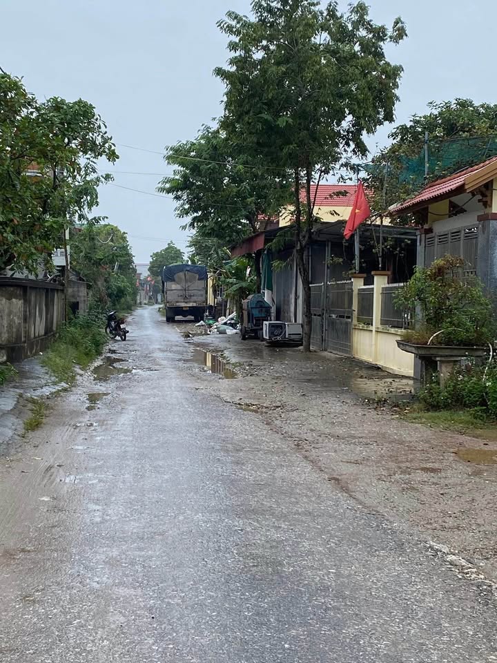 Đất nền xã Dân Chủ, Hưng Hà, 100m² chỉ 1.3 tỷ - Đầu tư sinh lời ngay!