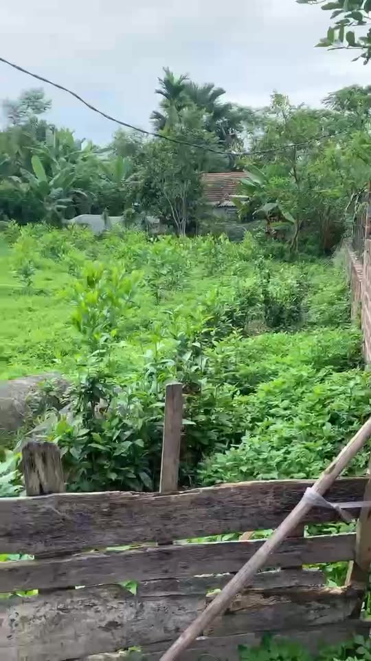 Đất ở xã Thanh Liên 698m² giá 1.1 tỷ - Cơ hội đầu tư hiếm có!