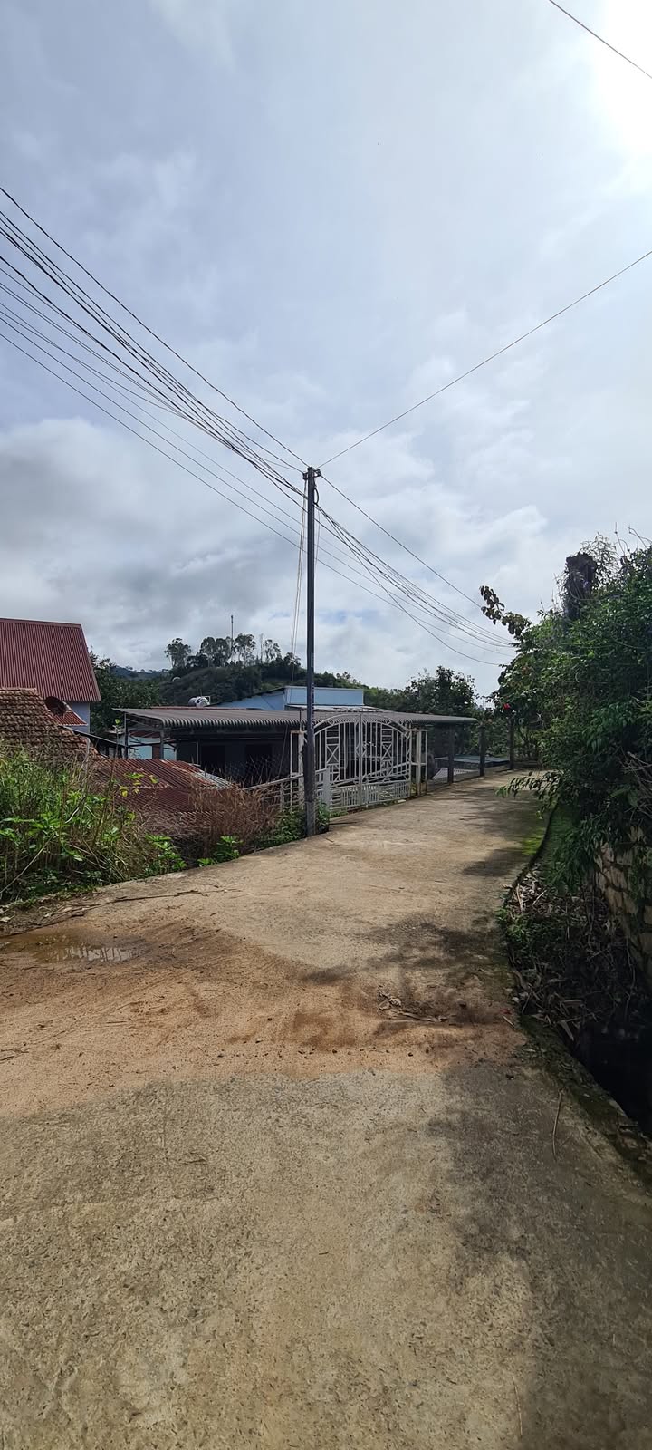 Đất Xã D'Ran, Đơn Dương 3656m² giá 5 tỷ - Cơ hội đầu tư hấp dẫn!