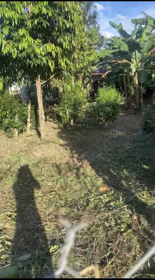 Đất thổ cư đường Quốc lộ 14, xã Mar, Đắk Hà, 192m² - Giá tốt, đầu tư sinh lời!