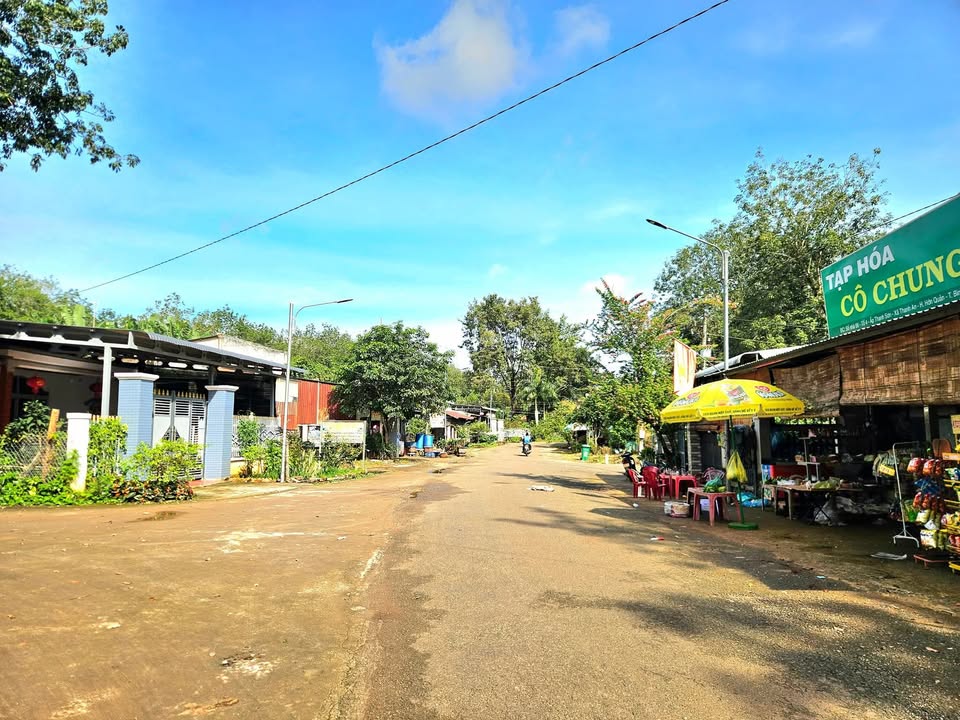 Đất nền Thanh An Hớn Quản 1000m² giá chỉ 2xx - Cơ hội đầu tư sinh lời!