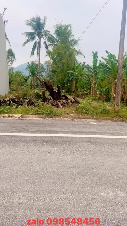 Lô đất lô góc 114m² đường DH HH 13, Hoằng Hải - Vị trí vàng kinh doanh