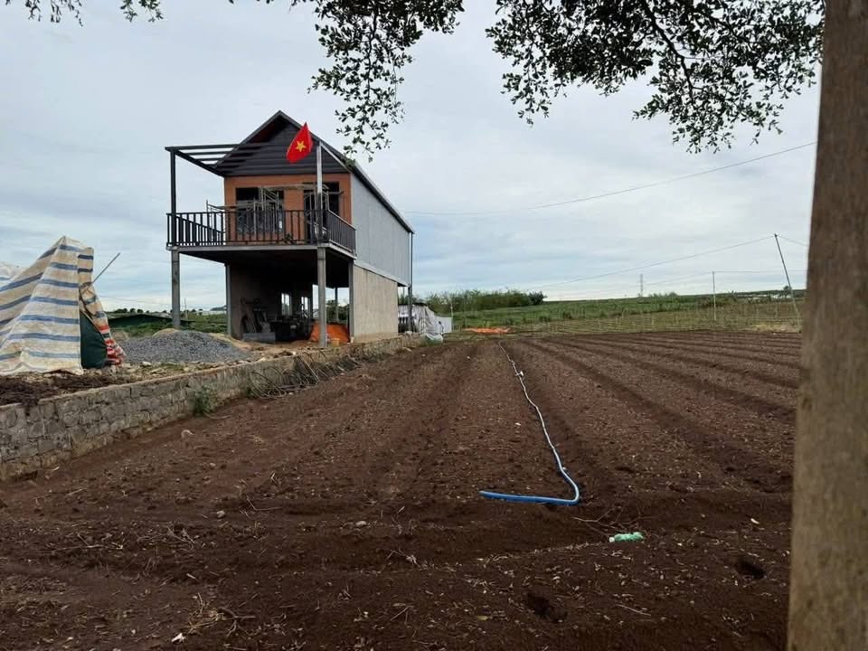 Đất thổ cư 3375m² tại N'Thol Hạ, Đức Trọng chỉ 1.1 tỷ - Cơ hội vàng đầu tư!