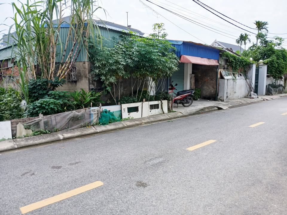 Đất Mặt Đường Nhựa Kim Đới 3, Hải Phòng 100m² giá 1.9 tỷ - Tiềm năng đầu tư lớn!