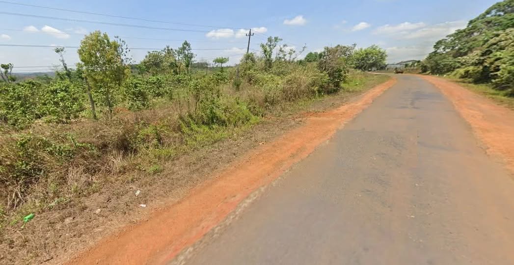 Đất nền đấu giá tại Tỉnh Lộ 686, xã Trường Xuân, Đắk Song, Đắk Nông - Sổ đỏ chính chủ, giá từ 420 triệu!