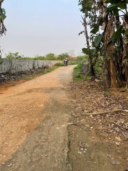 Đất Hợp Thành - Triệu Sơn 132m² giá chỉ từ 2xx triệu - Khu vực sầm uất, thuận tiện!