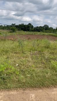 Đất thổ cư 2832m² tại xã Cuôr Knia, huyện Buôn Đôn - Đầu tư lý tưởng chỉ 5.9 tỷ!