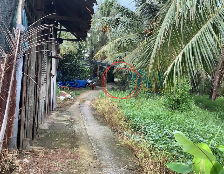 Đất vườn 304m² tại xã Tân Mỹ Chánh, TP. Mỹ Tho chỉ từ 500 triệu - Cơ hội đầu tư hấp dẫn!