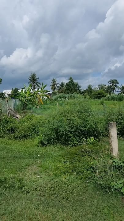 Đất thổ cư 150m² xã Bình Phú, giá 360 triệu - Sổ đỏ chính chủ!