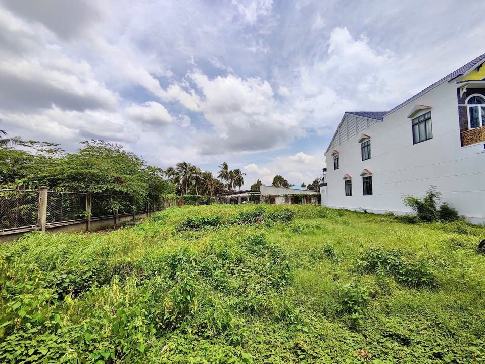 Đất nền mặt tiền đường Trần Thị Thơm, Mỹ Tho - Diện tích lớn, kinh doanh thuận lợi!