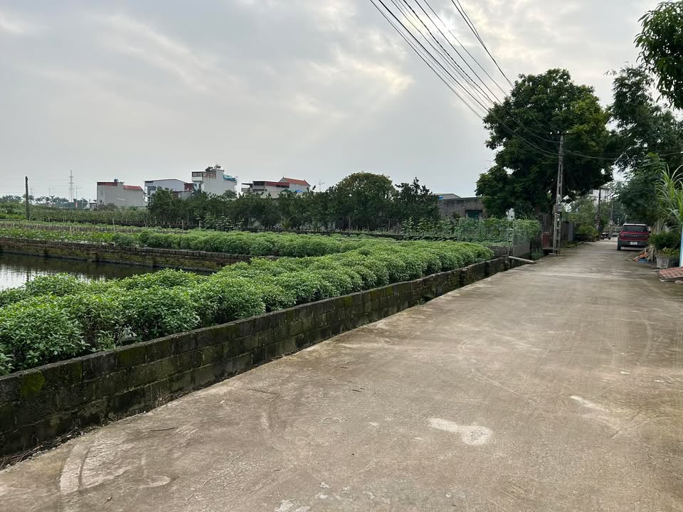 Đất nền ấp Đa Phúc, Văn Giang 101m² - Vị trí vàng, tiềm năng tăng giá!