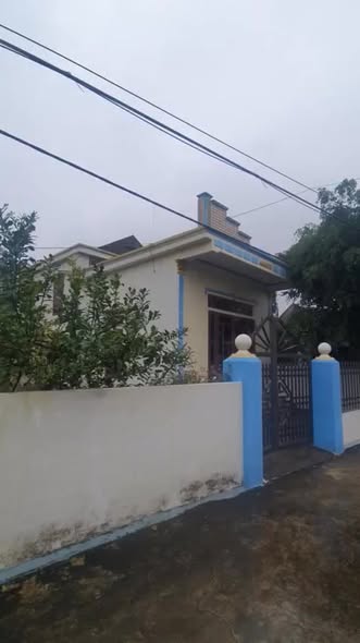 Đất thổ cư 319m² tại Nghĩa Hưng, Nam Định – Giá chỉ 1.6 tỷ, tặng nhà mới xây!