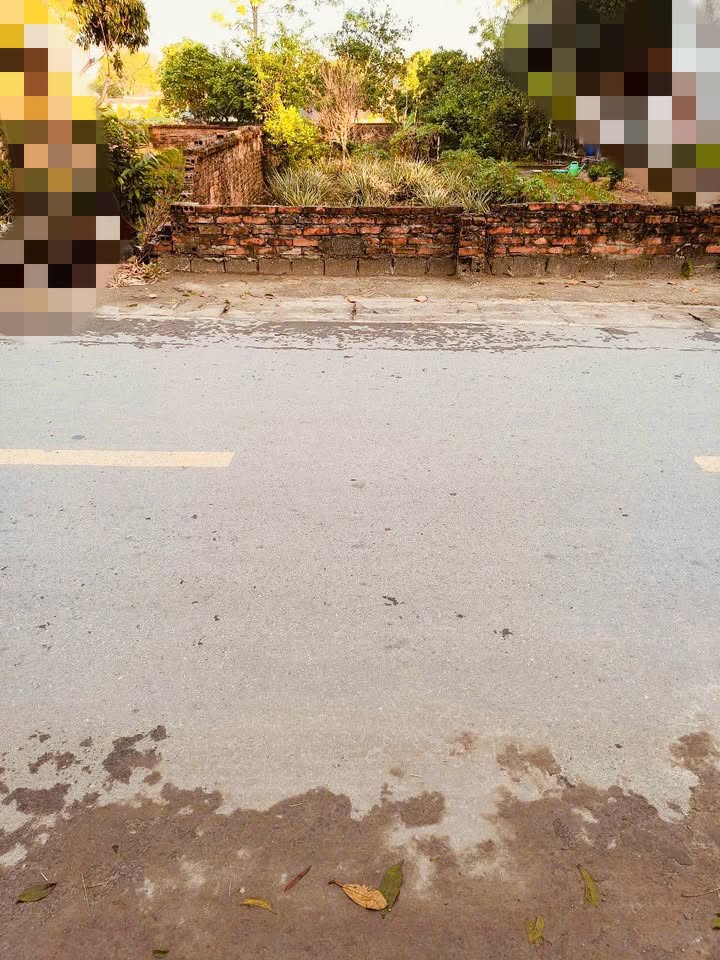 Đất nền 167m² tại Cổ Đông, Sơn Tây - Đầu tư sinh lời ngay!