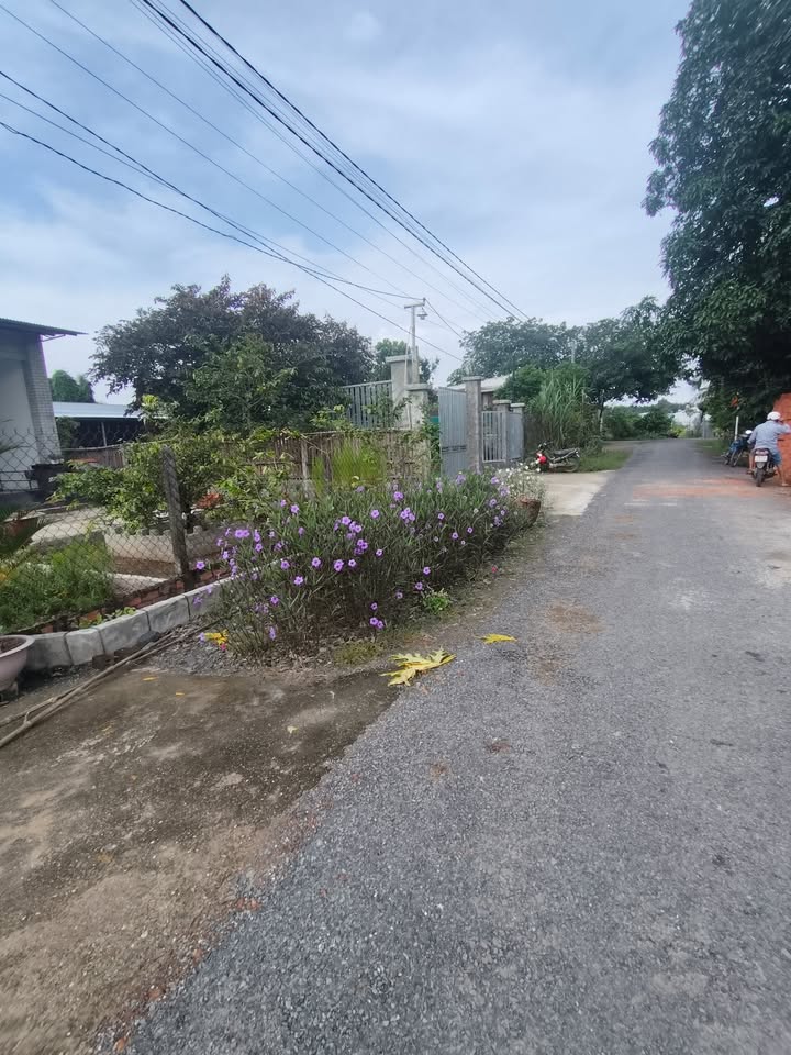 Bán đất mặt tiền nhựa Hẻm 30, đường Trịnh Phong Đáng, 240m² - Giá chỉ 2.61 tỷ!