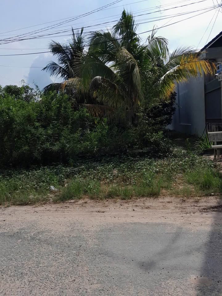 Đất nền đẹp tại Hẻm 102 Trần Phú, Tây Ninh - Chỉ 220 triệu, thổ cư 100%!