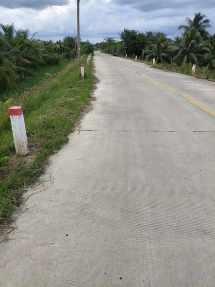 Đất vườn dừa 5.700 m² tại Bình Thạnh, Thạnh Phú - Giá chỉ 740 triệu/công