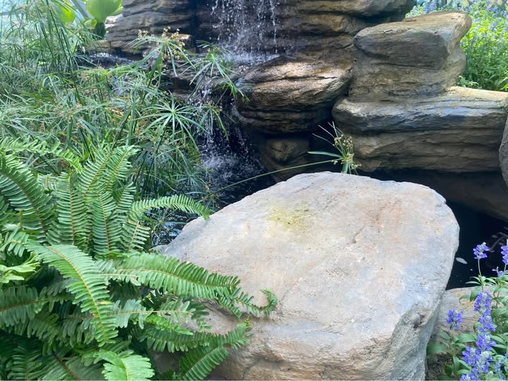 Nhà TDC Phước Long 58m² giá 6.9 tỷ - Full nội thất đẹp, sổ hồng chính chủ!