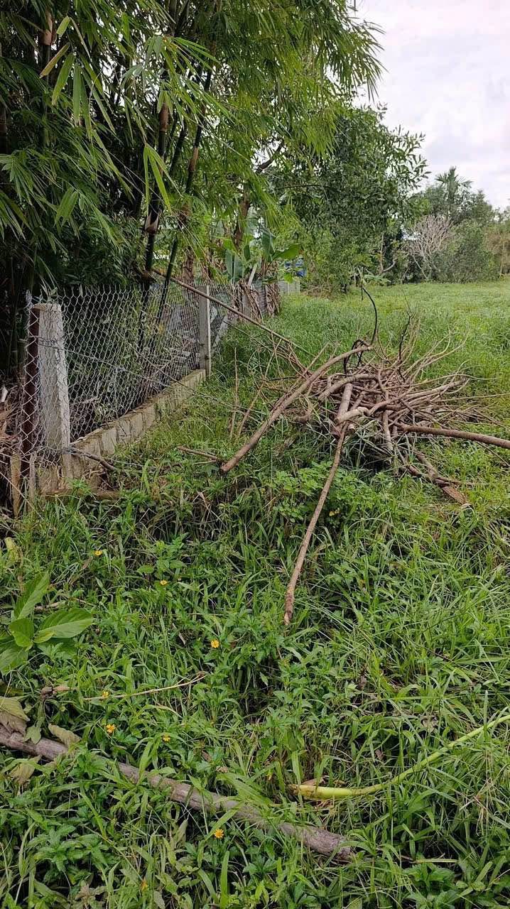 Đất mặt tiền Phạm Đình Toái Thủy Xuân 119m² giá 2.2 tỷ - Cơ hội đầu tư hấp dẫn!