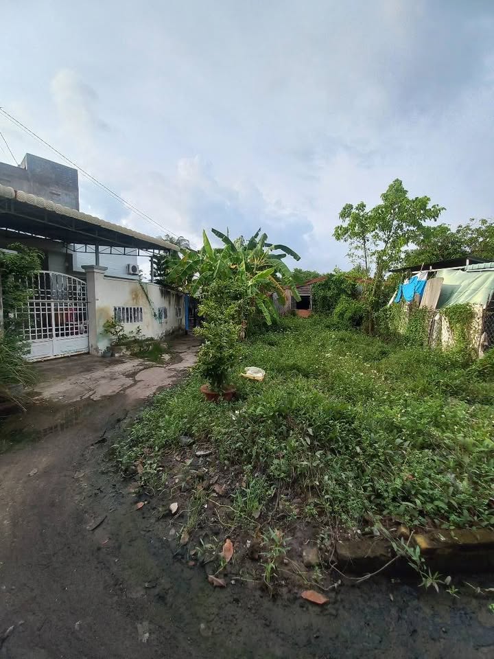 Đất nền Hẻm 277 Hải Thượng Lãng Ông 100m² giá 600 triệu - Cơ hội đầu tư hấp dẫn!