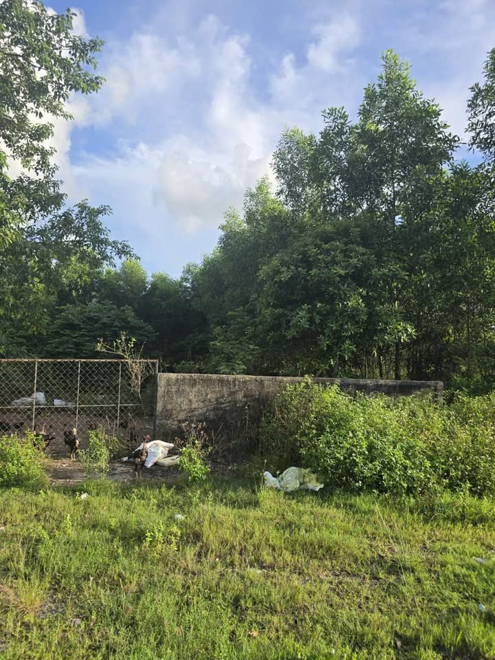 Đất mặt tiền Lê Thánh Tông, Đông Hà 200m² giá 2.55 tỷ - Nằm ngay khu dân cư an ninh!