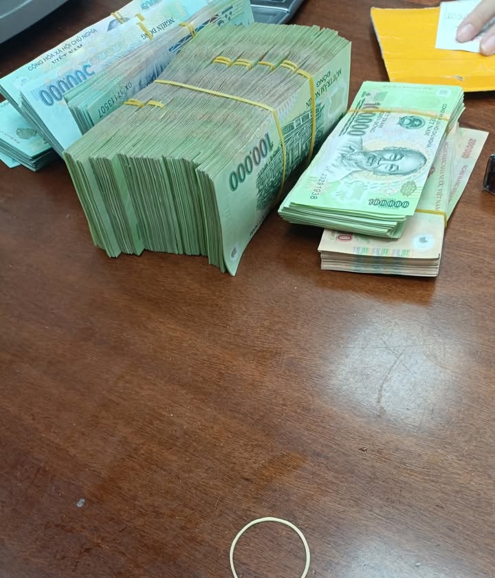 Đất nền Tiền Hải 120m² giá chỉ 600 triệu - Sổ đỏ chính chủ