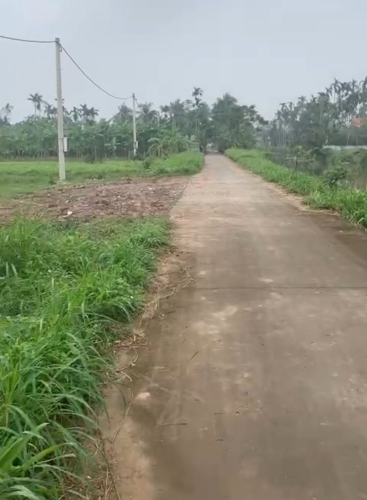 Đất nền xã Nga Thanh 173.6m² giá 700 triệu - Cơ hội đầu tư hấp dẫn!