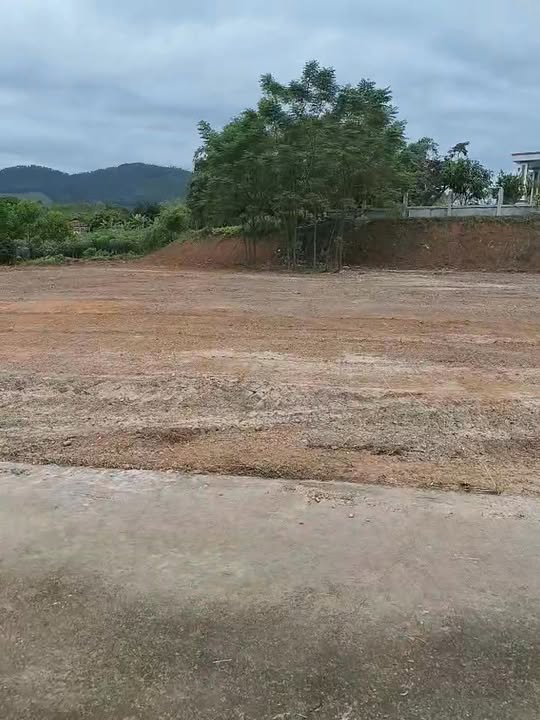 Đất nền Nhật Tiến, Cẩm Khê 230m² giá chỉ 200 triệu - Cơ hội đầu tư tốt!