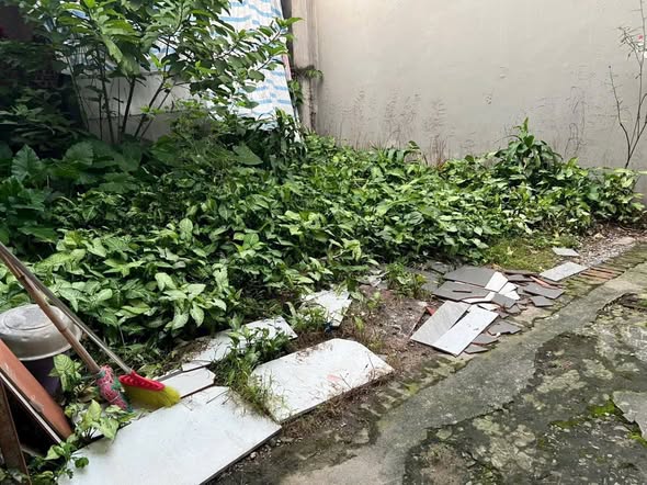 Đất trung tâm chợ Sủi Gia Lâm 40m² giá 3,1 tỷ - Vị trí hiếm có!