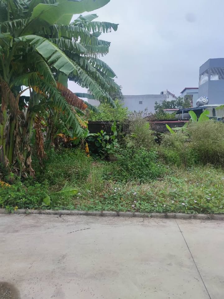 Đất lô góc Dương Kinh Hải Phòng 40m² giá 1.1 tỷ - Cơ hội đầu tư tuyệt vời!