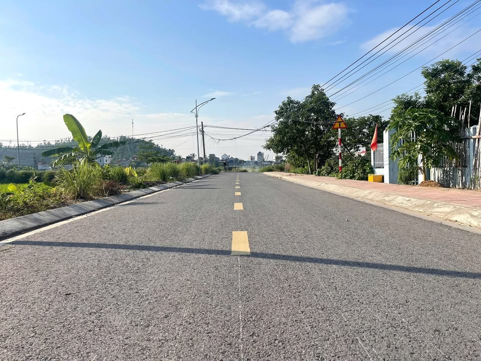 Đất mặt đường Cẩm La, Thanh Sơn, 78m² giá 1.59 tỷ - Kinh doanh thuận lợi!