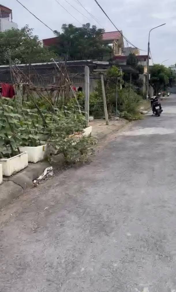 Đất Chung Cư Hoàng Mai, Đồng Thái, An Dương 100m² giá 4.25 tỷ - Tiềm năng phát triển lớn!