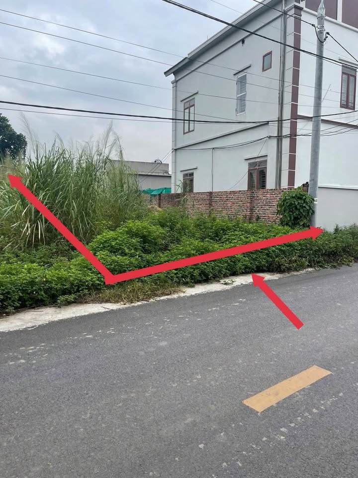 Đất nền trục chính Yên Lâm 130m² giá 900 triệu - Đầu tư sinh lời ngay!