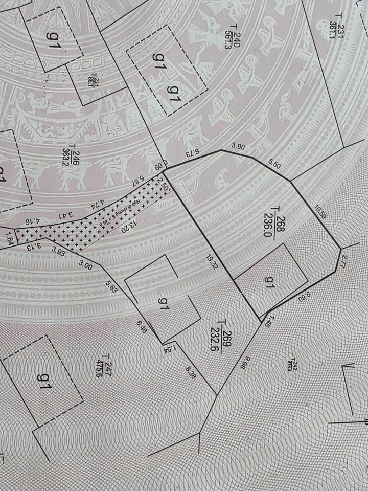 Nhà cấp 4 Hạ Long 236m² giá chỉ 900 triệu - Cơ hội đầu tư tuyệt vời!