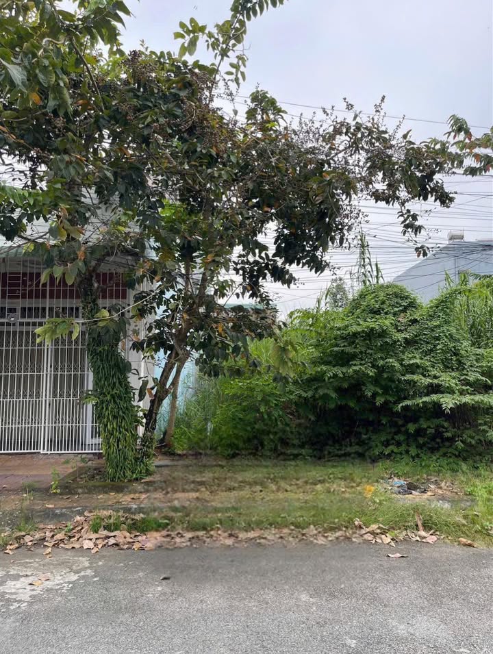 Đất nền B10 KDC Phú An Hưng Phú 100m² giá 2.3 tỷ - Sổ hồng chính chủ!