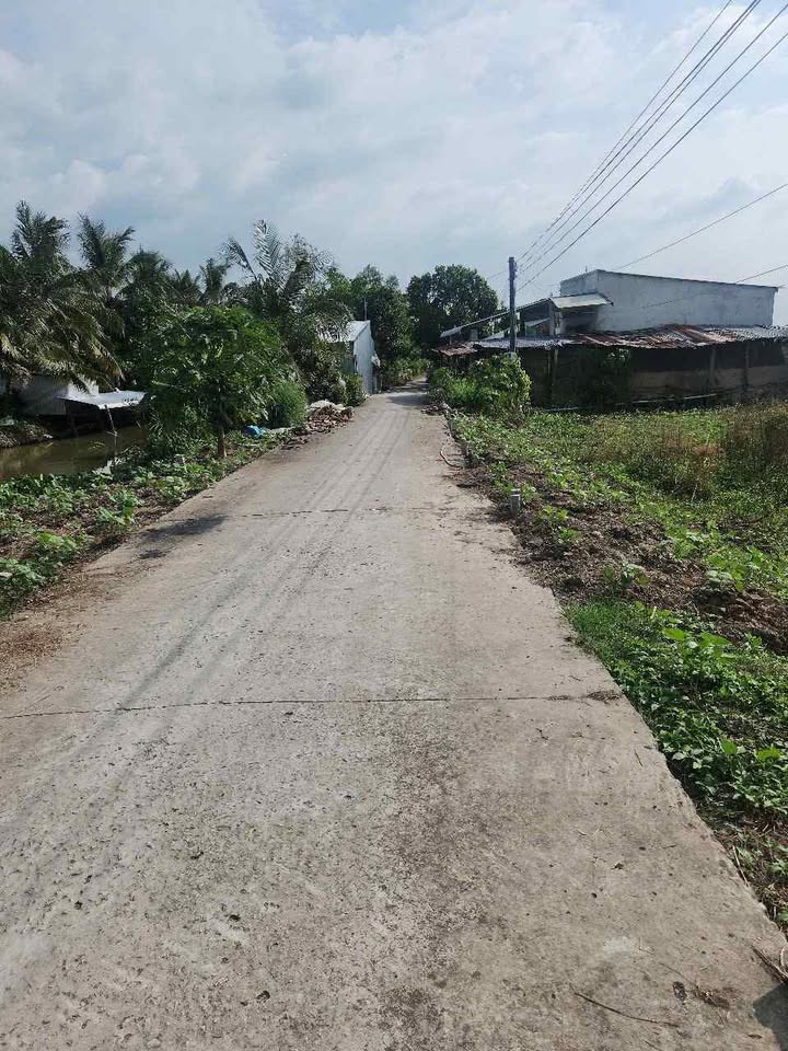 Đất thổ cư Thới Đông Cờ Đỏ 186m² giá 480 triệu - Thích hợp đầu tư sinh lời!