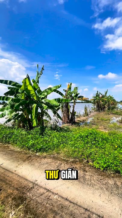 Đất nông nghiệp 5 công Thới Xuân Cờ Đỏ Cần Thơ - Gần chợ Cờ Đỏ chỉ 3km