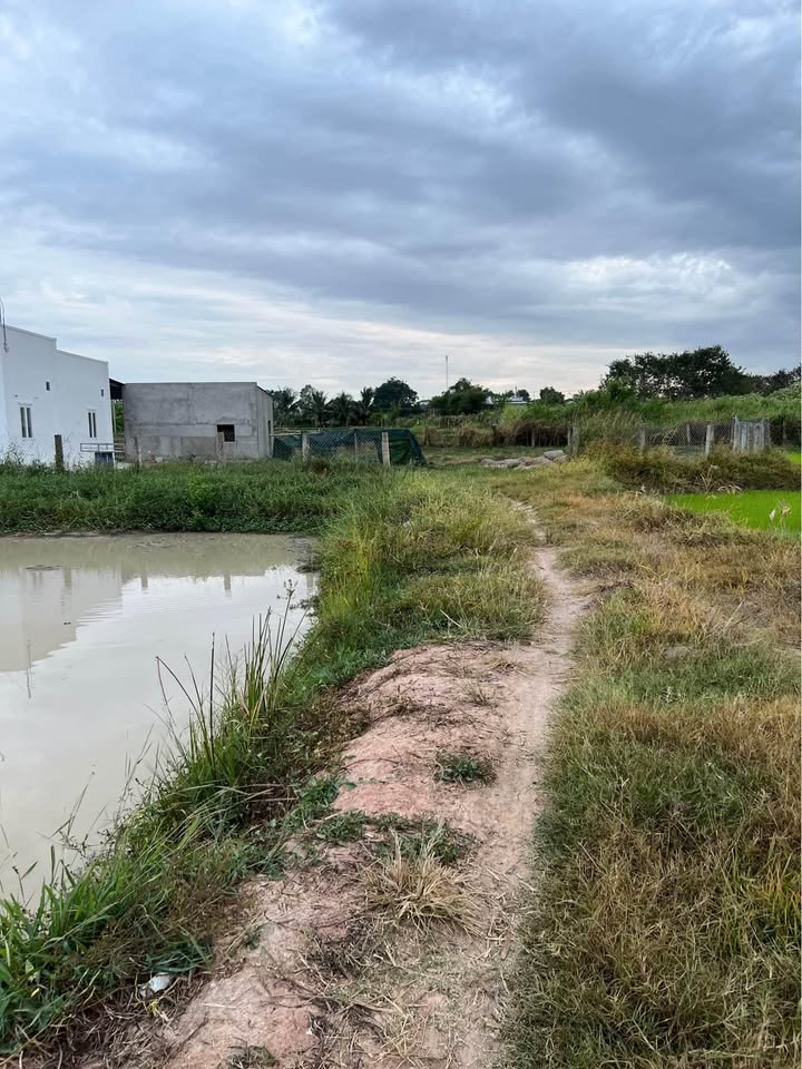 Đất thổ cư 2200m² tại Thuận Minh chỉ 650 triệu - Chính chủ cần bán gấp!