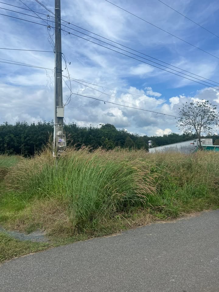 Đất thổ cư Cây Liễu, Long Hoà 220m² giá tốt - Cơ hội đầu tư hấp dẫn!