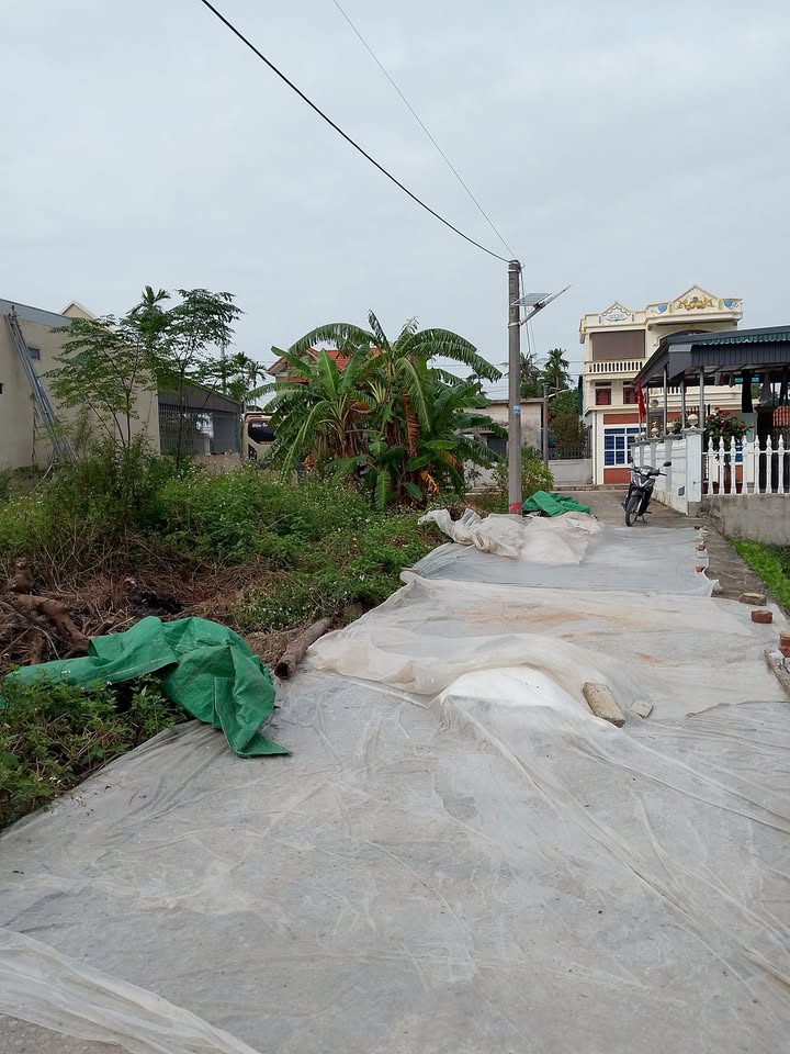 Đất thổ cư 90m² tại Thanh Lương, Vĩnh Bảo - Chỉ 800 triệu, cơ hội vàng đầu tư!