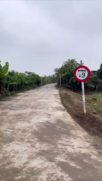 Đất nền Tống Trân Phù Cừ 120,6m² giá 700 triệu - Cơ hội đầu tư hấp dẫn!