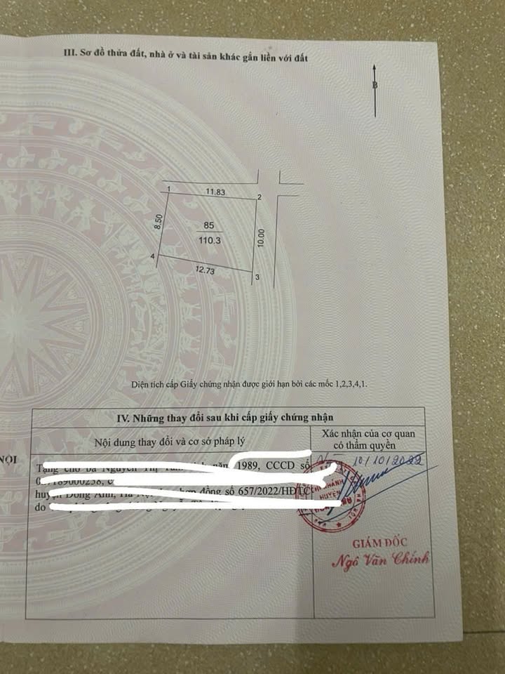 Đất thổ cư 110m² tại xã Phúc Thịnh - Bán gấp lô góc 11 tỷ!