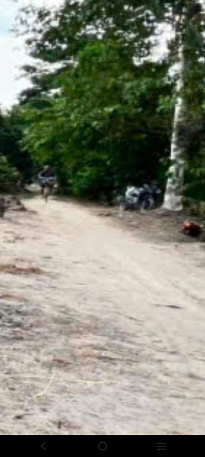 Đất thổ cư Đốc Bình Kiều 12000m² giá 240 triệu - Tiềm năng phát triển lớn!