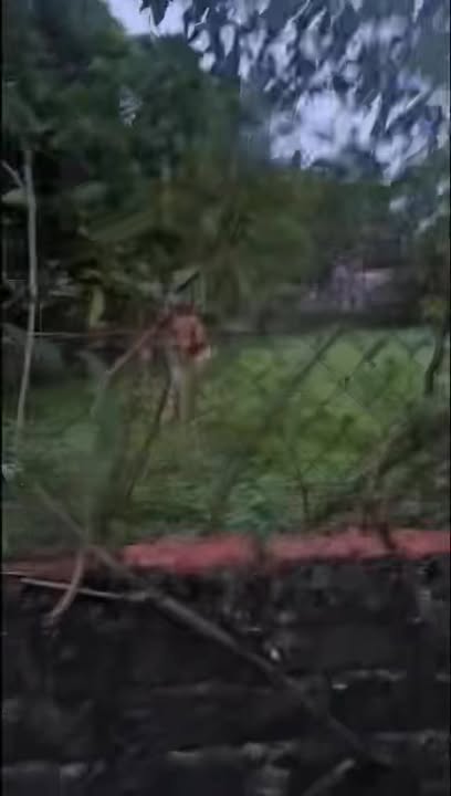 Đất thổ cư Gia Phú, Gia Viễn, Ninh Bình 90m² giá 800 triệu - Cơ hội đầu tư lý tưởng!