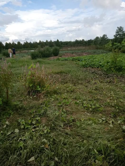 Đất nền Tân Phú, Thanh Bình 150m² giá chỉ 5 tỷ - Cơ hội đầu tư tuyệt vời!