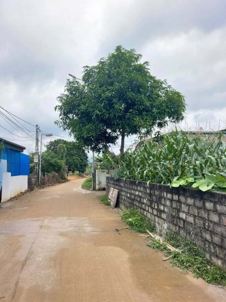 Đất nền Thị Trấn Cao Phong 340m² - Gần Quốc Lộ 6, Ô Tô vào tận đất!